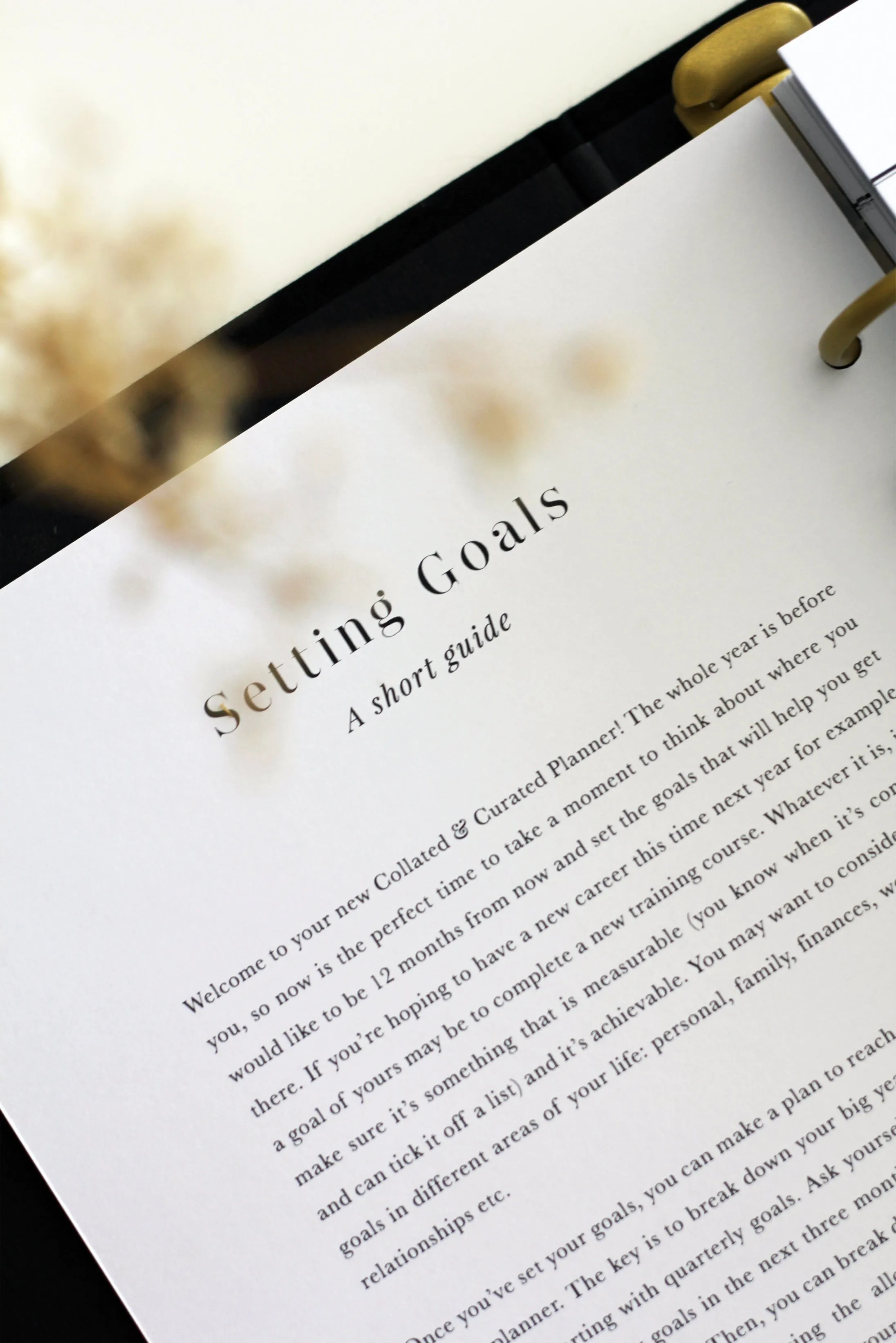 12 Month Undated Inserts | A5 Planner Inserts