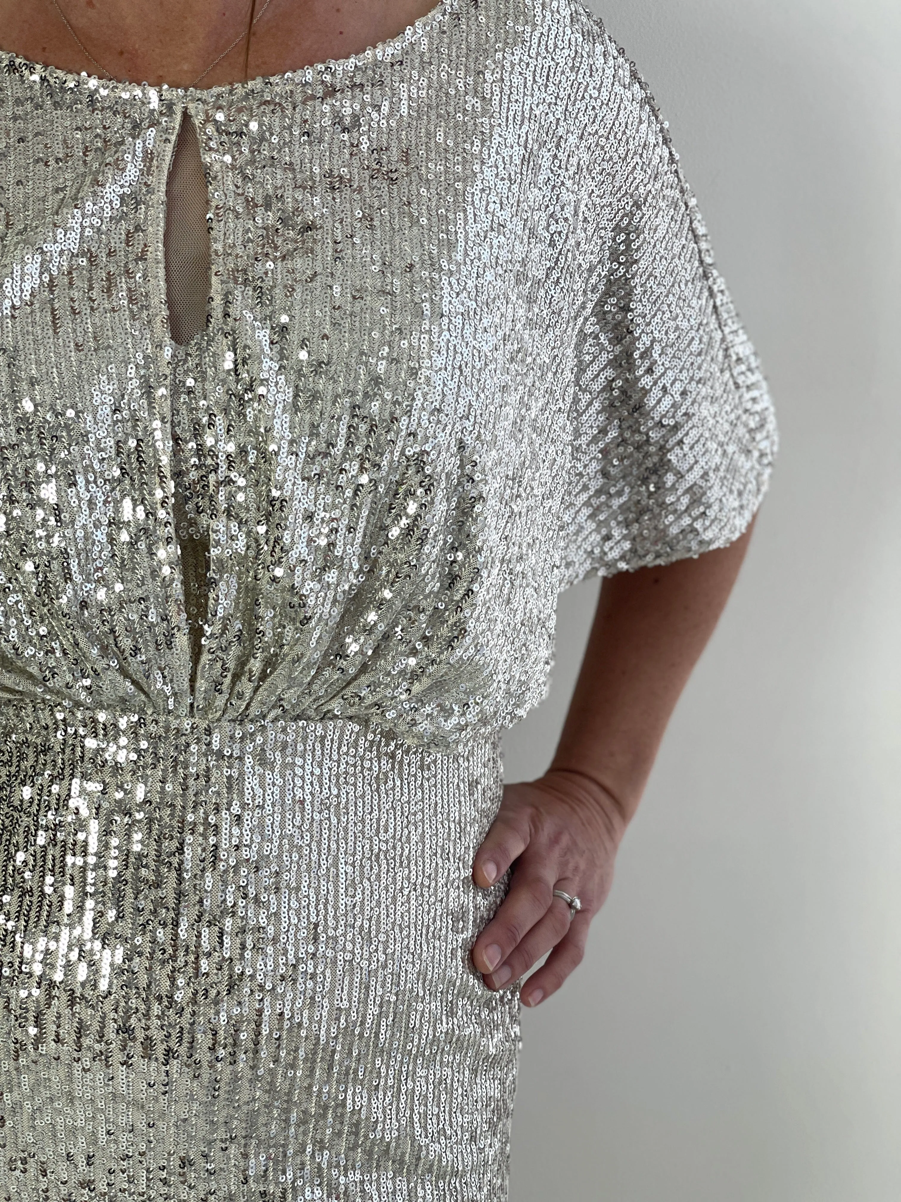 Aldoga Silver Sequin Dress