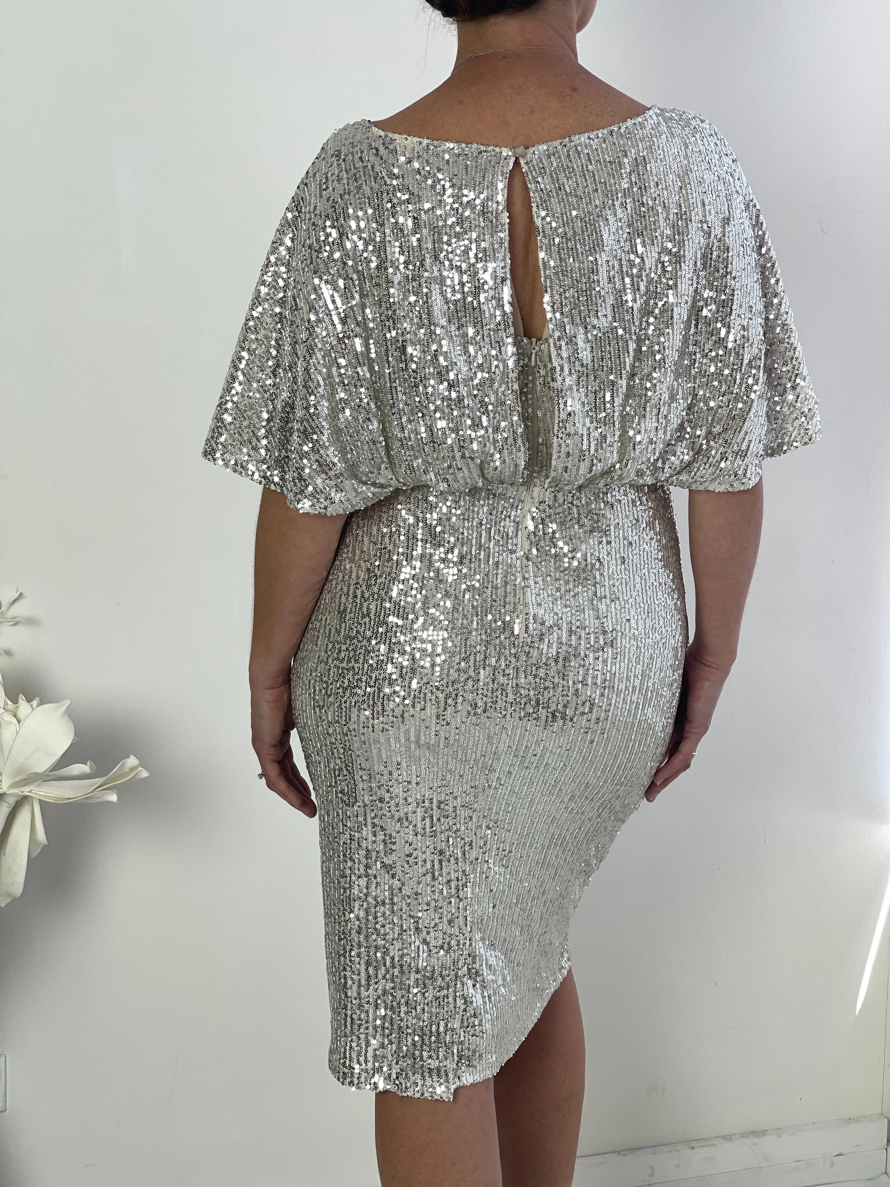 Aldoga Silver Sequin Dress