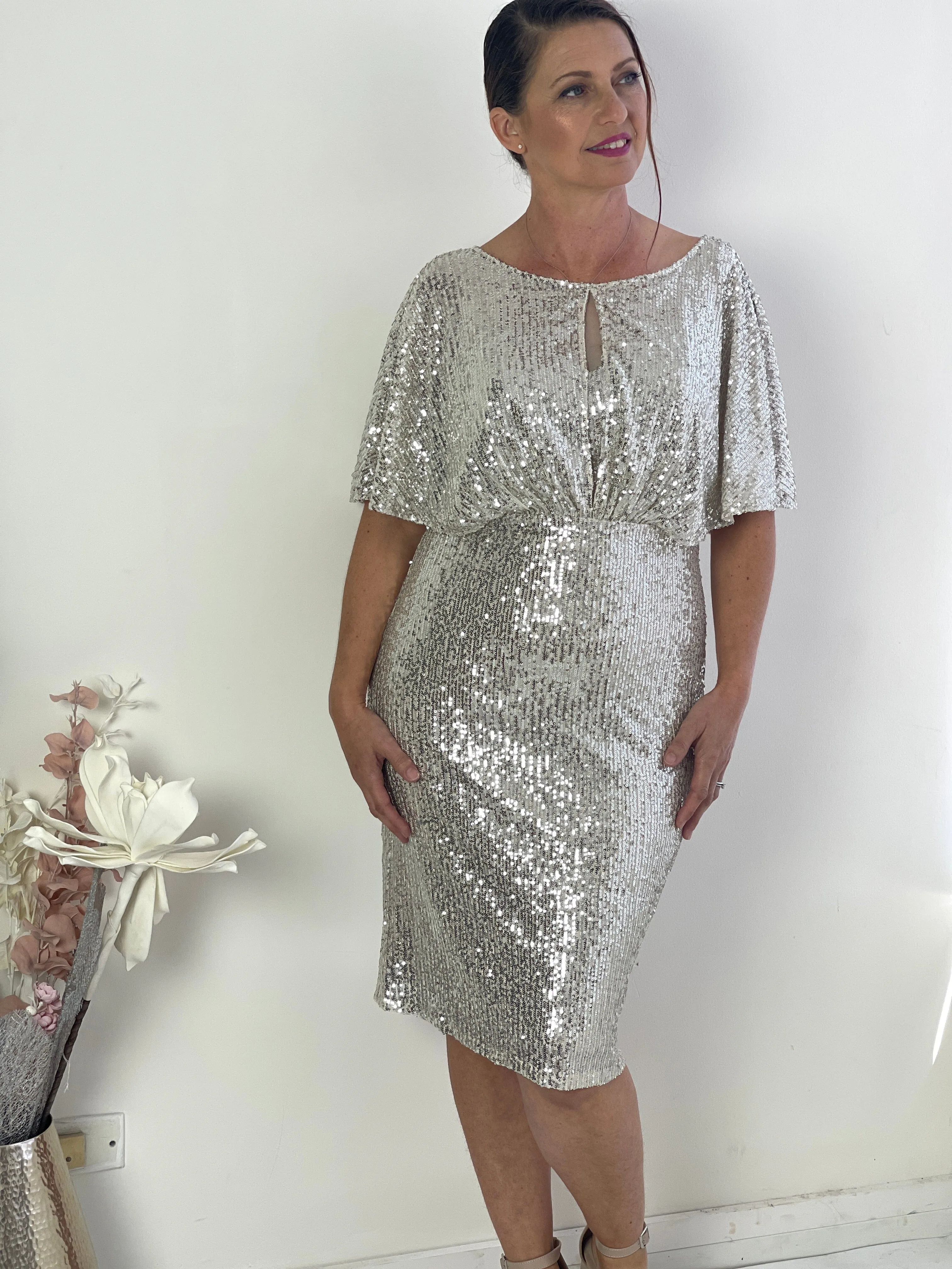 Aldoga Silver Sequin Dress