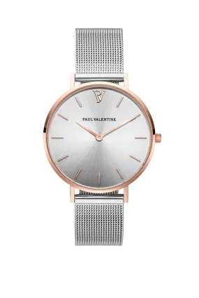 Rose Gold Silver Sunray Mesh