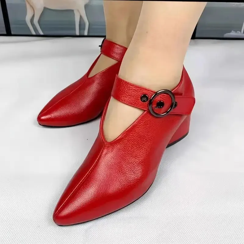 Women's Chunky Heel Pointed Toe Shoes