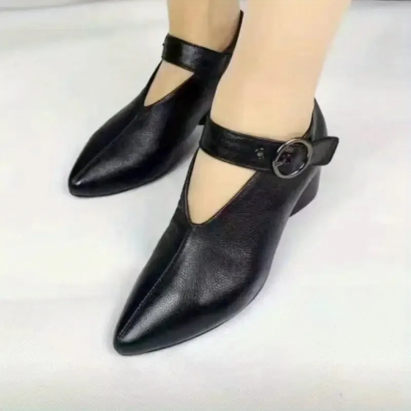 Women's Chunky Heel Pointed Toe Shoes